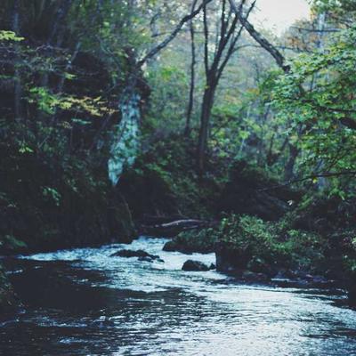 TikTok Account 5K Followers